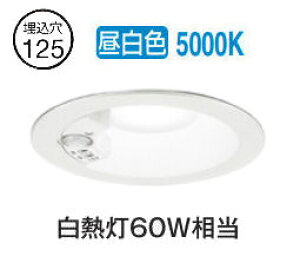 I[fbN plZT[tx[X_E OD261855R 125 M60W F F HKv