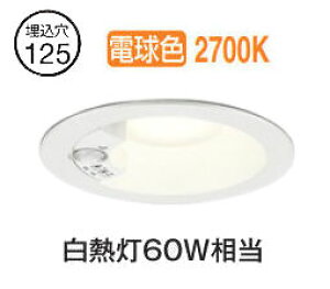 I[fbN plZT[tx[X_E OD261856R 125 M60W dF F HKv