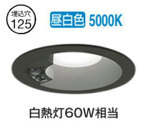 I[fbN plZT[tx[X_E OD261857R 125 M60W F F HKv