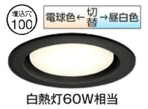 �I�[�f���b�N �_�E�����C�g OD361234PR ��100 ���M��60W���� �����F ���F�ؑ֒��� �g�U�z�� �H���K�v