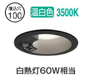 I[fbN plZT[tx[X_E OD361593R 100 M60W F F HKv