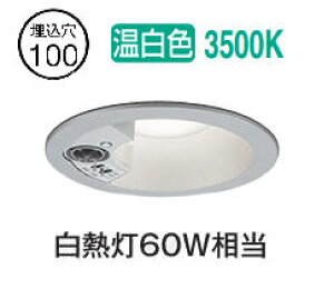 I[fbN plZT[tx[X_E OD361594R 100 M60W F F HKv