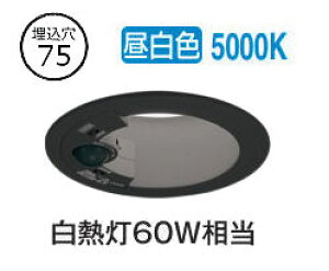 I[fbN lZT[t_ECg OD361697R 75 M60W F F HKv