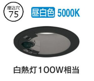 I[fbN plZT[tx[X_E OD361703R 75 M100W F F HKv