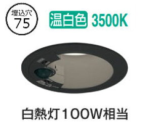 I[fbN plZT[tx[X_E OD361704R 75 M100W F F HKv