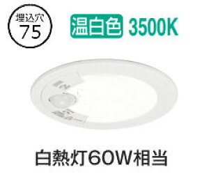 I[fbN plZT[tx[X_E OD361707R 75 M60W F F HKv