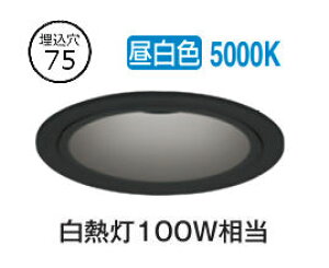 I[fbN EpnCR[_ECg OD361736R 75 M100W F F  gUz HKv