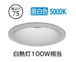 I[fbN Epjo[T_ECg OD361744R nCR[ 75 M100W F F  ~fBAz HKv