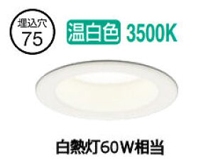 �I�[�f���b�N �_�E�����C�g OD361817R ��75 ���M��60W���� �����F �����F �H���K�v