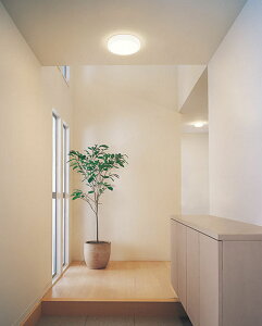 �I�[�f���b�N �V�[�����O���C�g OL291695LR FCL30W���� �d���F �����F �H���K�v