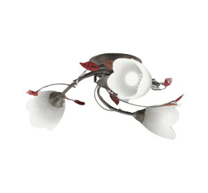 I[fbN VfA OC257027NR F F M60W×3 ykCEkEBʓrz