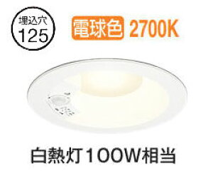 I[fbN lZT[t_ECg OD261746R dF F  125 M100W HKv