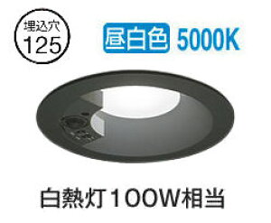 I[fbN lZT[t_ECg OD261747R F F 125 M100W HKv