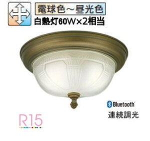 I[fbN V[OCg OL011104BR F F M60W×2 HKv