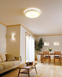 I[fbN Zp퓔tV[OCg OL251669BRE `12p F F BluetoothykCEkEBʓrz