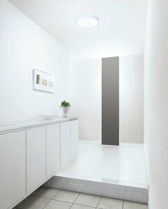 �I�[�f���b�N �l���Z���T�[�t�V�[�����O���C�g OL251734R �����F �����F FCL30W���� �H���K�v