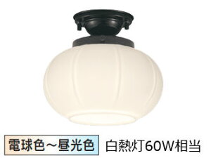 �I�[�f���b�N �a�����^�V�[�����O Bluetooth OL291280BR �H���K�v