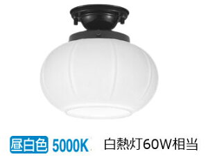 �I�[�f���b�N �a�����^�V�[�����O OL291280NR �H���K�v