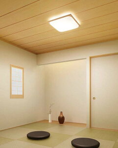 I[fbN aV[O@ OL291344NR ykCEkEBʓrz