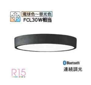 �I�[�f���b�N �V�[�����O���C�g OL291432BR �������F �����F FCL30W���� �H���K�v
