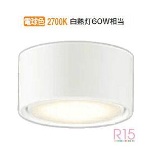 �I�[�f���b�N ���^�V�[�����O���C�g OL291448LDR �d���F �����F ���M��60W���� �H���K�v