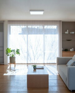 I[fbN V[OCg OL291507BR `12p F F Bluetooth p^ ykCEkEBʓrz