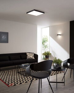 オーデリック シーリングライト OL291514BR 〜6畳用 調光調色 高演色 Bluetooth 角型 【北海道・東北・九州送料別途】