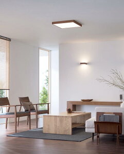 I[fbN V[OCg OL291519BR `12p F F Bluetooth p^ ykCEkEBʓrz