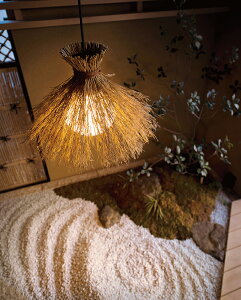 I[fbN ay_g OP035303LR ykCEkEBʓrz