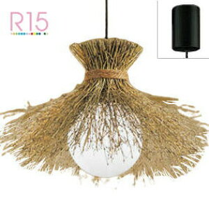 I[fbN ay_g OP035303NR ykCEkEBʓrz