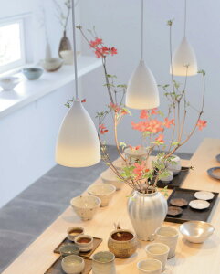 �I�[�f���b�N �y���_���g OP252575LR �d���F �����F ���M��60W����