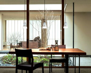 I[fbN y_g OP252659LR dF F M60W HKv AQUA2  ANA2