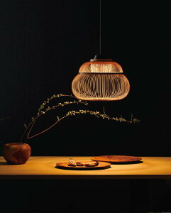 I[fbN ay_g OP252737LDR dF F M100W ykCEkEBʓrz