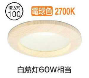 �I�[�f���b�N �ؘg�_�E�����C�g OD261670R �d���F �����F ���� ��100 ���M��60W���� �H���K�v