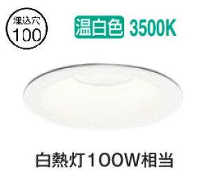 �I�[�f���b�N �_�E�����C�g OD261907R �����F �����F ���� ��100 ���M��100W���� �H���K�v