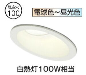 �I�[�f���b�N �X�ΓV��p�_�E�����C�g OD361143BCR �������F �����F Bluetooth ��100 ���M��100W���� �H���K�v