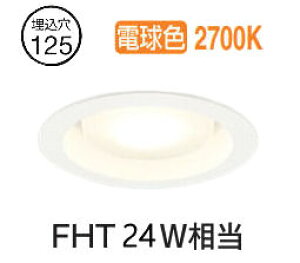 �I�[�f���b�N �_�E�����C�g OD361359LR �d���F �����F ��125 FHT24W���� �H���K�v