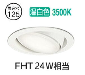 �I�[�f���b�N ���j�o�[�T���_�E�����C�g OD361361WR �����F �����F ��125 FHT24W���� �H���K�v