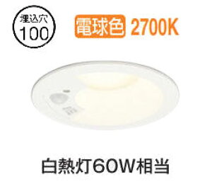 Ѝ݌ɕi I[fbN lZT[t_ECg OD361461R dF F 100 M60W HKv