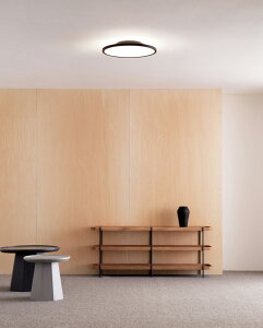 �I�[�f���b�N �V�[�����O���C�g OL291620BR �`8���p �������F �����F Bluetooth �����R���t �Ԑڌ��ؑ�