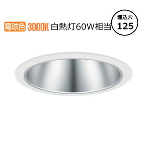 �p�i�\�j�b�N �_�E�����C�g XND0657SLLE9 (NDN28518S+NNK06010NLE9) ���M��60�`���� ��125 3000K �H���K�v