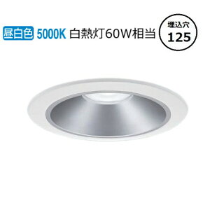 �p�i�\�j�b�N �_�E�����C�g XND0659SNLE9 (NDN28505S+NNK06010NLE9) ���M��60�`���� ��125 5000K �H���K�v