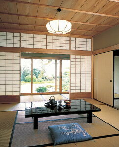 pi\jbN y_g 12p F LGBZ8223KykCEkEBʓrz