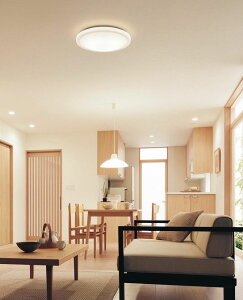 �p�i�\�j�b�N �V�[�����O���C�g 6���p ���F LGC21127K�y�k�C���E���k�E��B�����ʓr�z