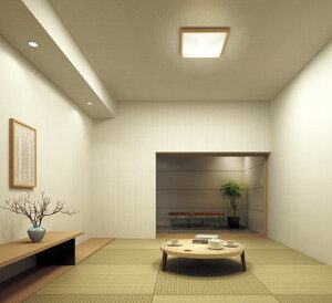 pi\jbN aV[OCg 10p F LGC45833ykCEkEBʓrz