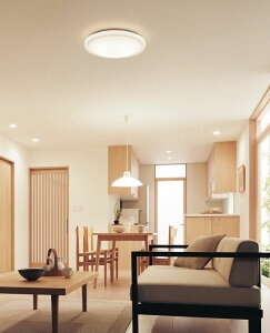 �p�i�\�j�b�N �V�[�����O���C�g 12���p ���F LGC51127K�y�k�C���E���k�E��B�����ʓr�z