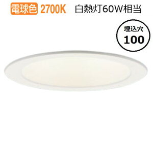 Ѝ݌ɕi pi\jbN _ECg 60` dF LGD1108LLE1 HKv