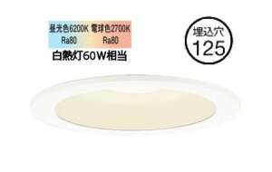 �p�i�\�j�b�N �_�E�����C�g 60�`���� �V���N�����F W LGD1200LU1 �H���K�v