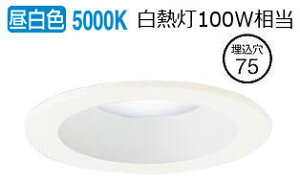 �p�i�\�j�b�N �_�E�����C�g 100�`���� �����F LGD3000NLE1 �H���K�v