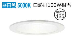 �p�i�\�j�b�N �_�E�����C�g 100�`���� �����F LGD3200NLE1 �H���K�v